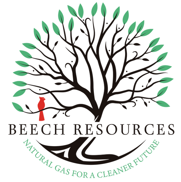 Beech Resources
